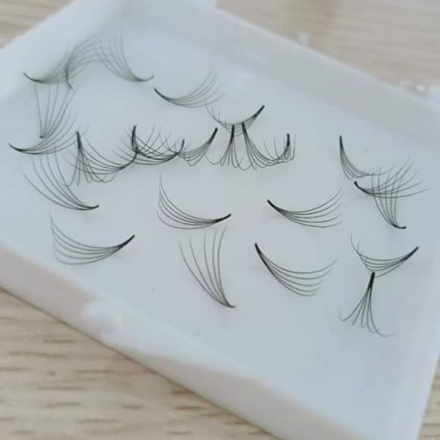 Mi fan 5d sẵn hộp 1000 fan (loại 1)