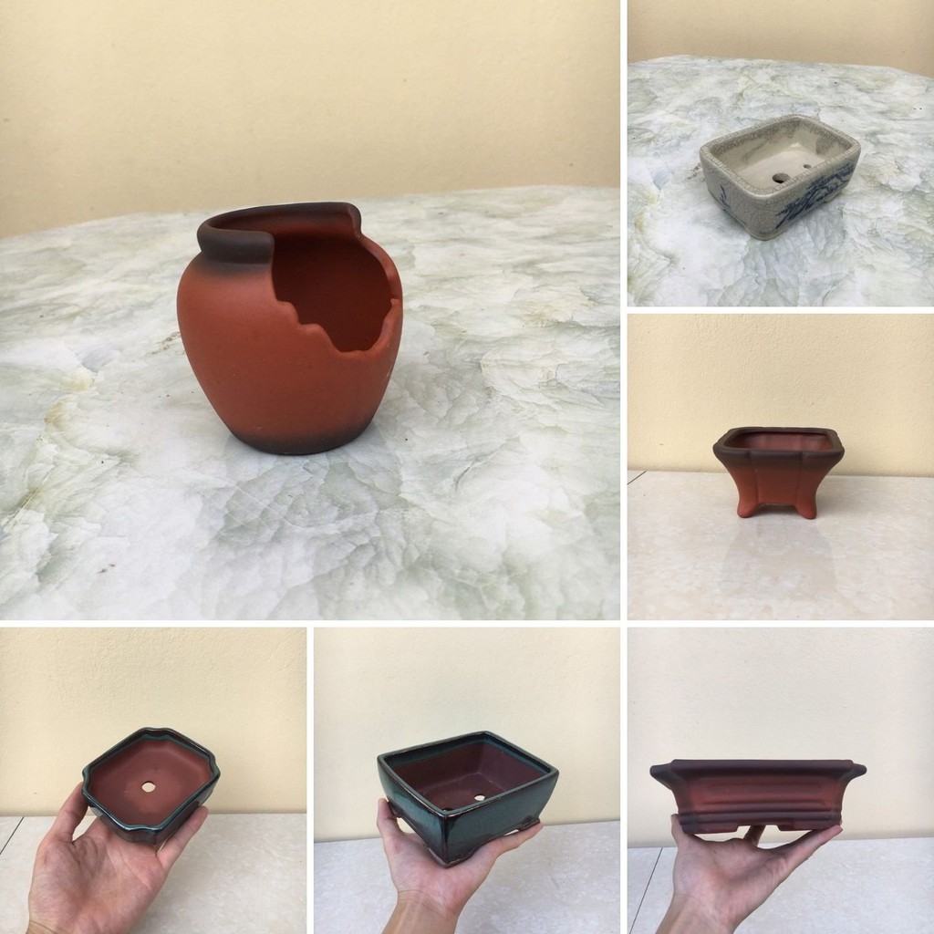 Chậu mini, Chậu sứ trồng Cây nội thất, Sen đá, Cây bonsai, Cây hoa kiểng