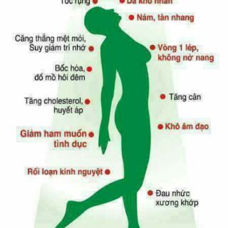 Mầm đậu nành