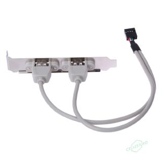 CS 2 Port Rear Panel Bracket Motherboard Cable USB 2.0 Connector Cable Adapter