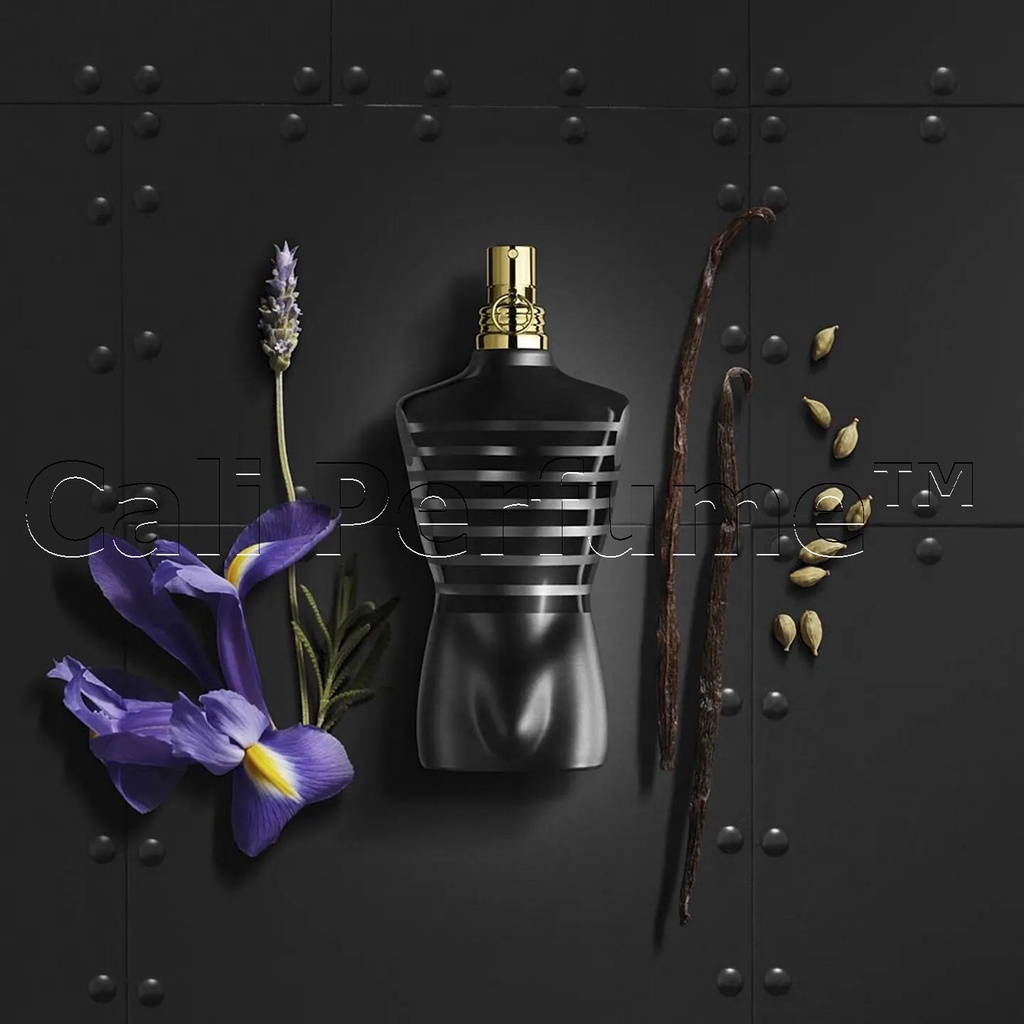 Nước Hoa Nam JPG Le Male Le Parfum