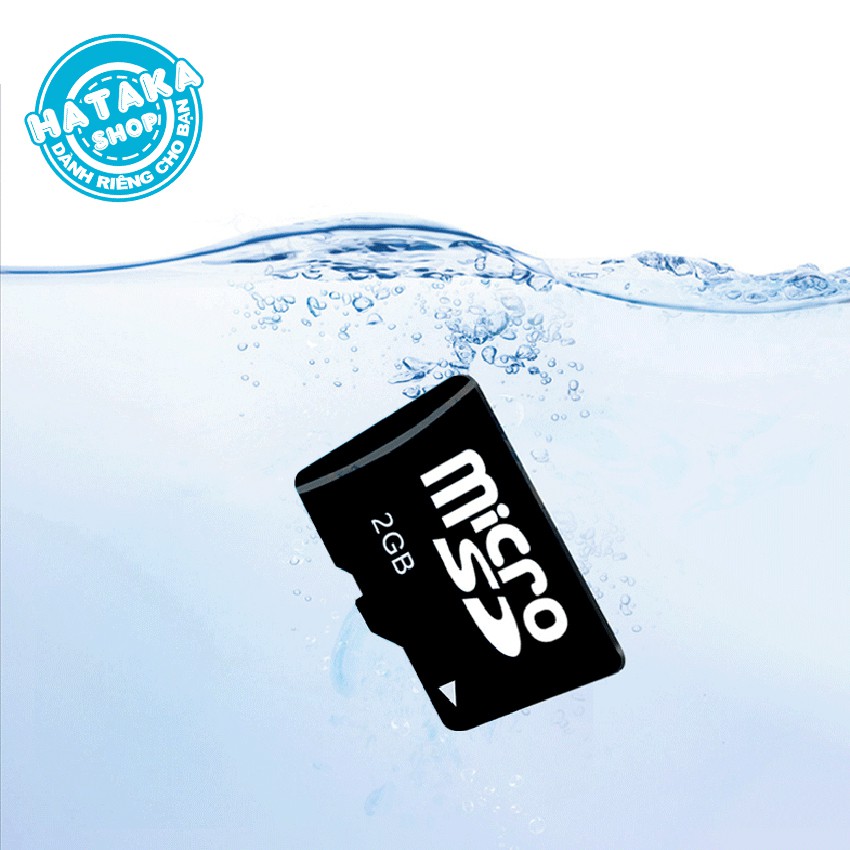 Thẻ nhớ 2GB-dùng cho điện thoại-máy nghe nhạc-camera,... | BigBuy360 - bigbuy360.vn