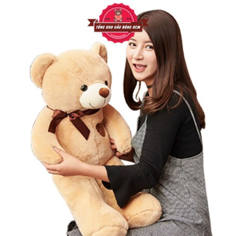 Gấu Bông Teddy đeo nơ khổ 1m