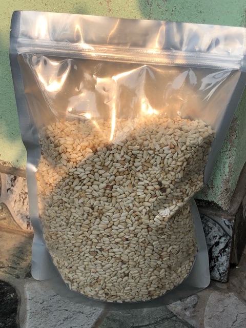 Hạt kham trắng (Safflower Seed)- thức ăn: Vẹt • Sóc • Hamster.