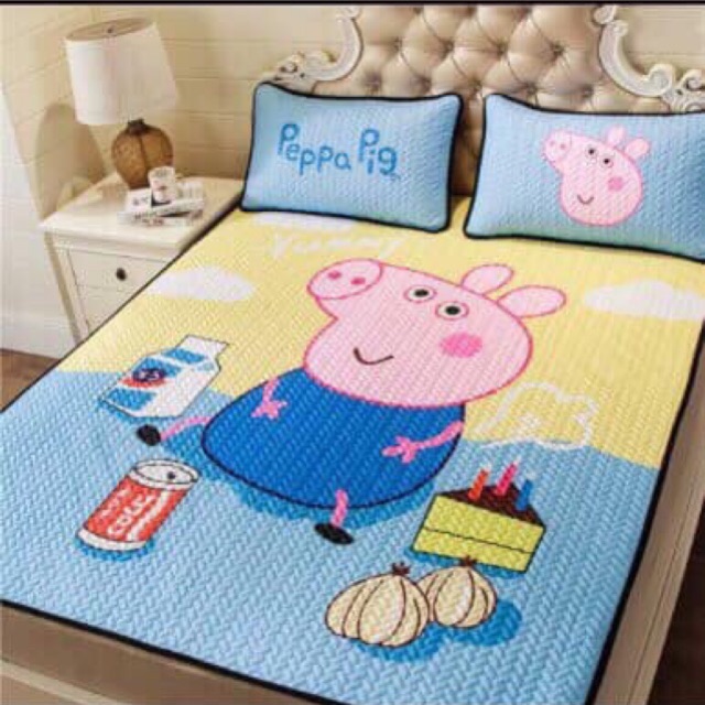 Chiếu điều hòa tencel 5D