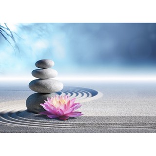 Tranh dán tường 3D  SPA - vải lụa phủ kim sa (Kích thước theo yêu cầu)