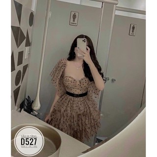 Bigsize Đầm bi tầng D527