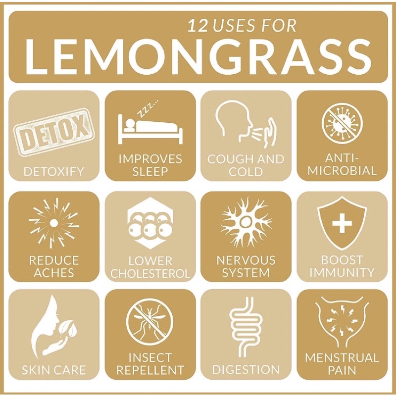 Tinh dầu sả chanh lemongrass 100% nguyên chất Artnaturals 118ml USA