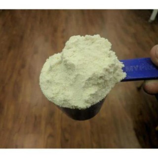Whey Protein Concentrate NZMP 80% Protein - Đạm whey cô đặc