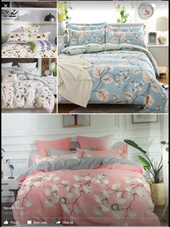 SET CHĂN GA GỐI COTTON LỤA 100%