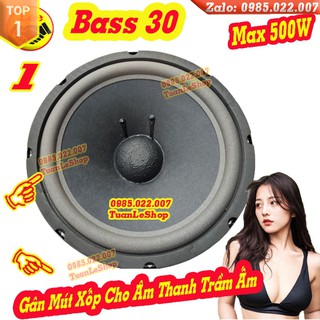 1 CỦ LOA BASS 30 GÂN MÚT COIL 66 TỪ KÉP 156-100 –GIÁ 01 CỦ 3 TẤC