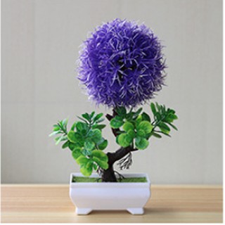 Combo 3 chậu hoa tú cầu trang trí