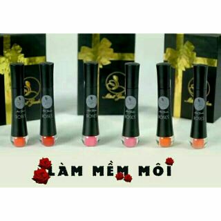 FREESHIP 99K Son rose mini garden chính hãng