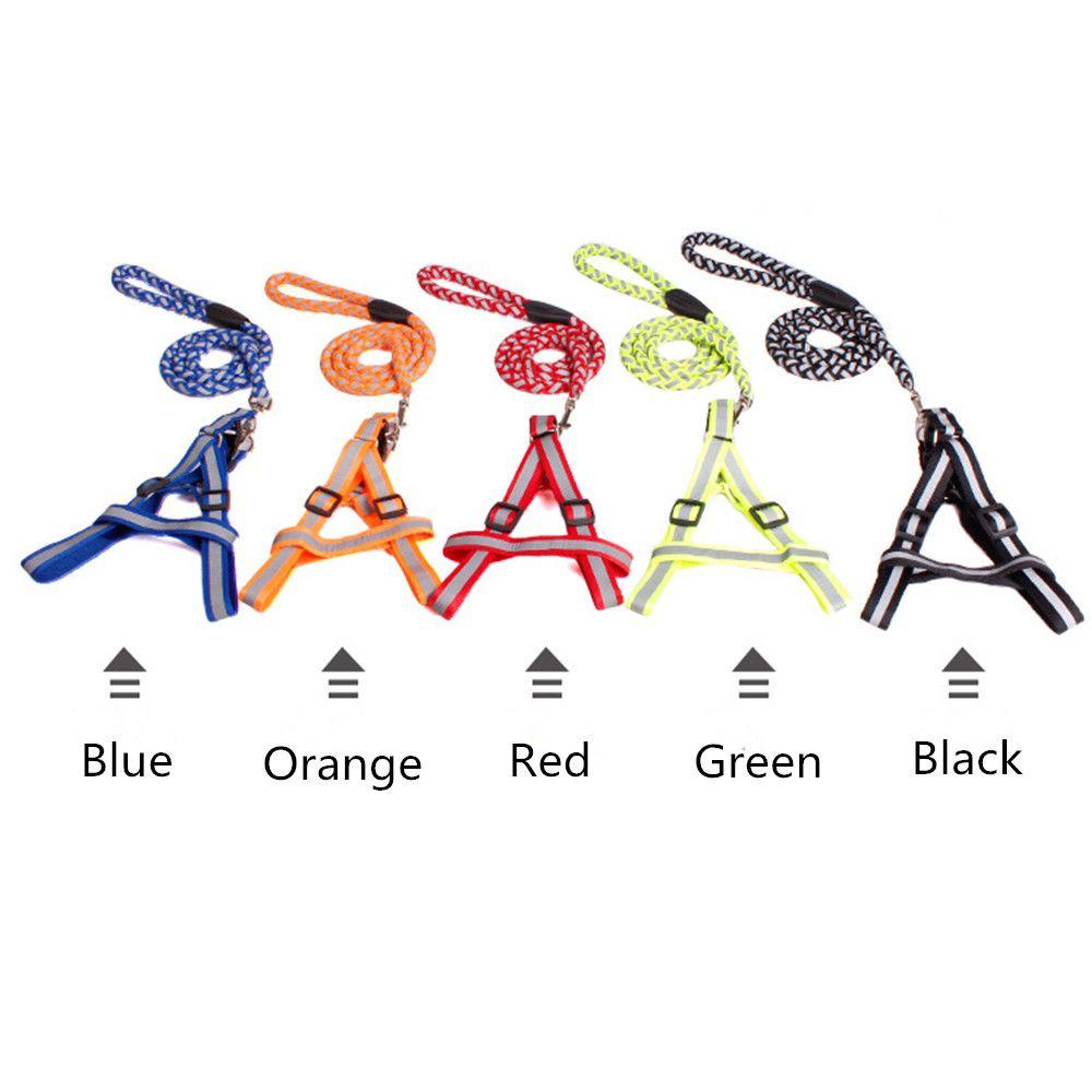 Dây Xích Huấn Luyện Thú Cưng ZAIJIE24 Thiết Kế Bền Bỉ Tiện Dụng