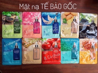 Mặt Nạ Tế Bào Gốc Dr Cellio