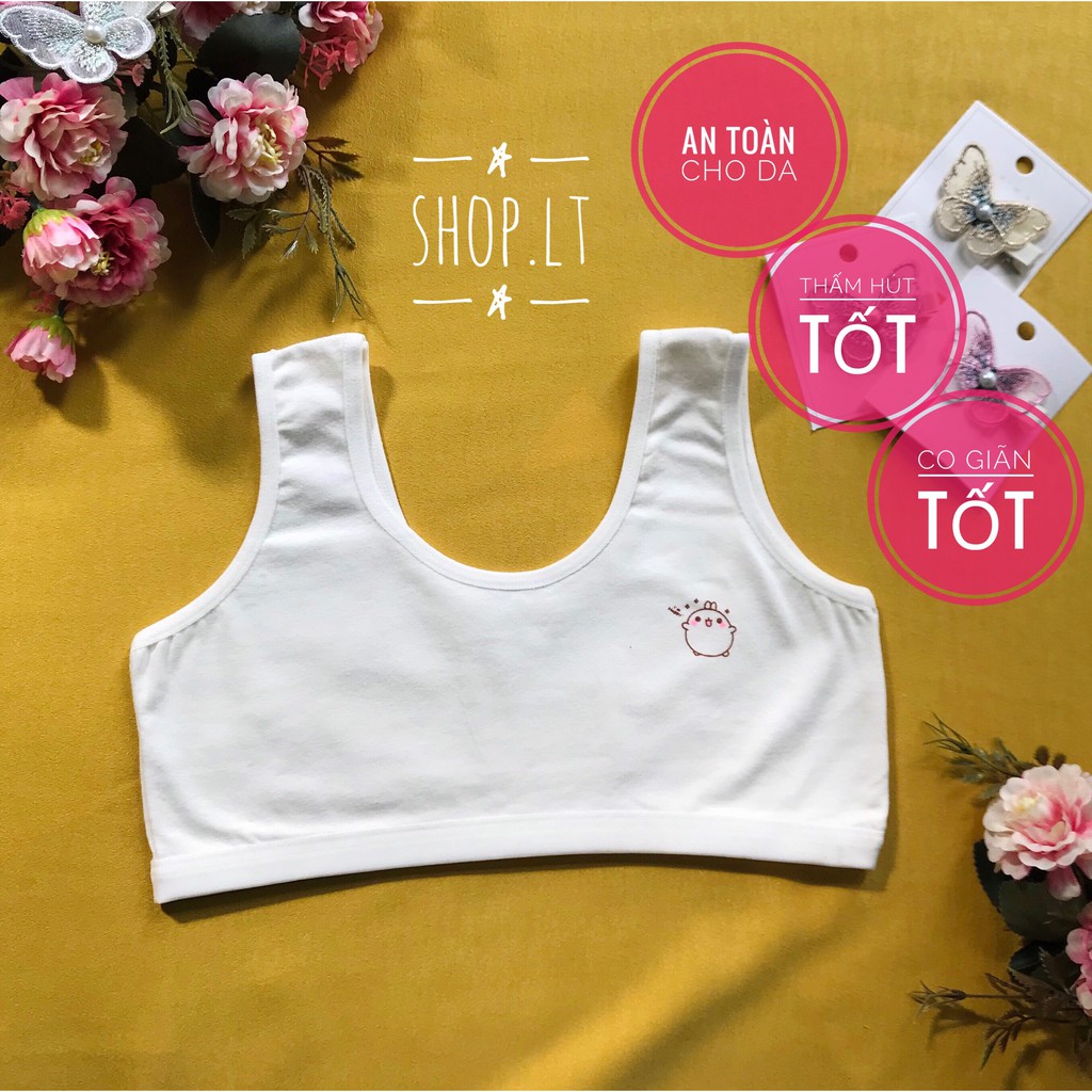 ÁO LÓT HỌC SINH LOẠI ĐẸP HÀNG XUẤT CHẤT LIỆU COTTON THOÁNG MÁT, KHÔNG KÍCH ỨNG DA , KHÔNG LÓT