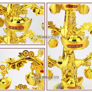 Cây Thỏi Vàng (Quay bé) - Cành Vàng Lá Ngọc