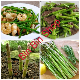 HẠT GIỐNG MĂNG TÂY XANH (10 HẠT )