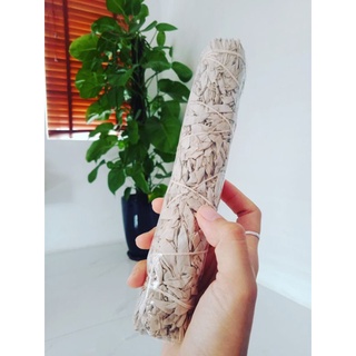 Bó xô thơm trắng/ White sage Bó 120gr Dài 20-23cm