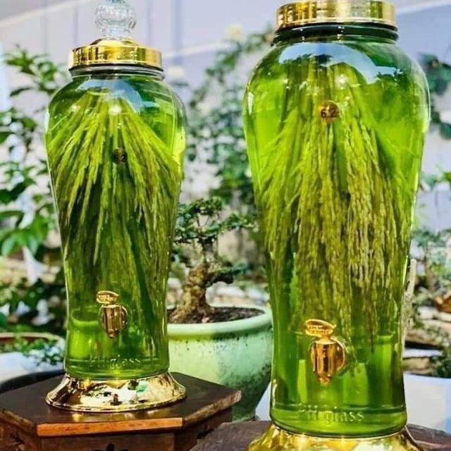 Đặc Sản và Dược Liệu Lai Châu