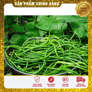 Bộ gói hạt giống đậu đũa xanh
