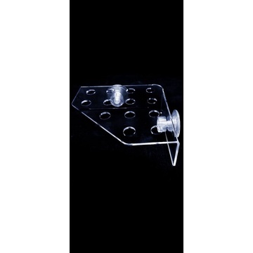 Đế đỡ san hồ nước mặn