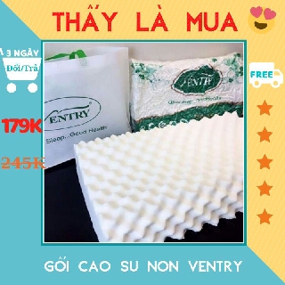 Gối cao su VENTRY