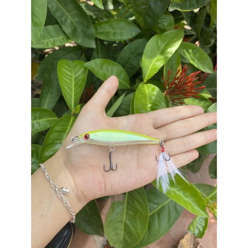 Mồi câu cá Chẽm, cá Mú, cá Ngão, cá Biển đuôi lông