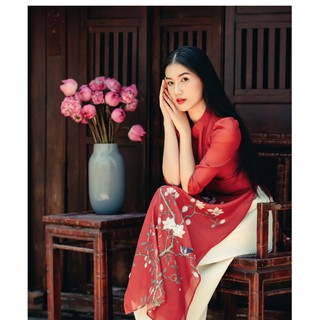 Áo Dài Cách Tân Đô An (Áo + Quần)