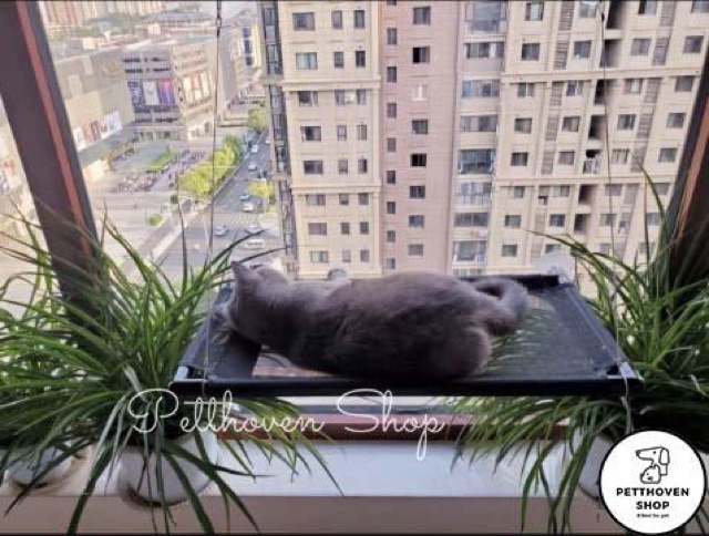 BẢN MỚI-Võng hít kính có giác hút chân không gắn tường kính tiện lợi cho mèo-PHIÊN BẢN TO,RỘNG HƠN-Tha hồ tắm nắng