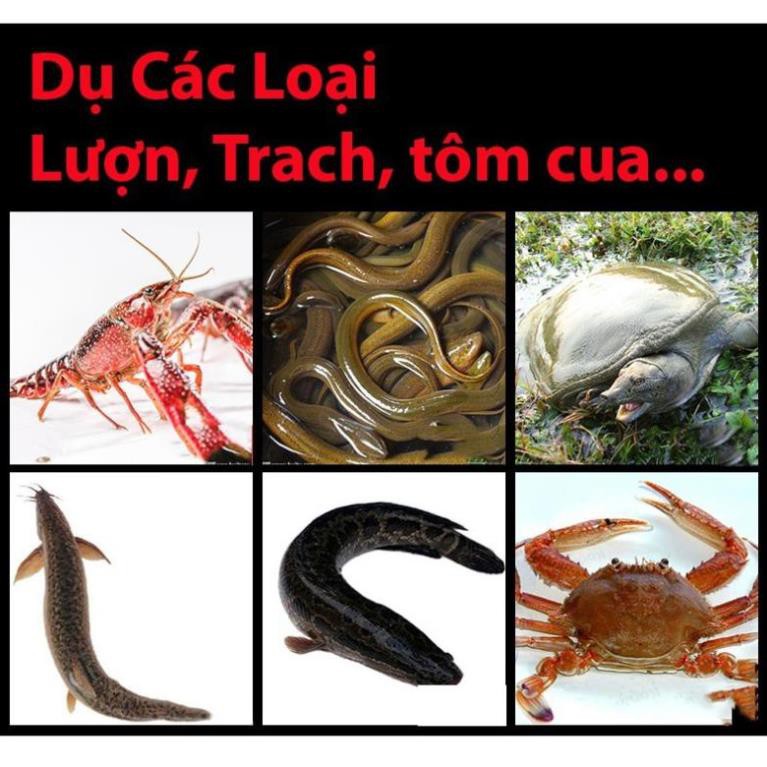 LỒNG Ô BÁT QUÁI ĐÁNH BẮT CÁ , TÔM, LƯƠN, TRẠCH,LỒNG Ô 8 CỬA , LƯỚI ĐÁNH BẮT CÁ ,LỒNG Ô ,FISHING HD