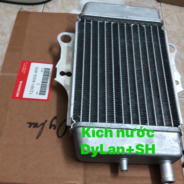 Két nước Dylan zin thái Bảo hành 1 đổi 1