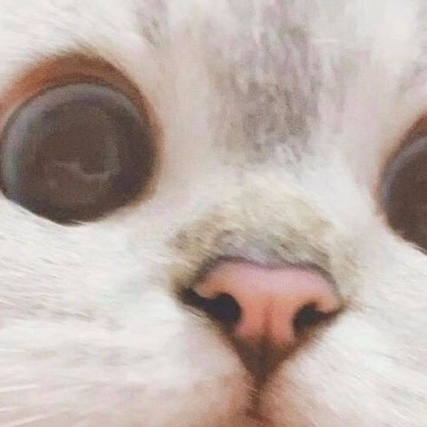 Tiệm Tạp Hoá Của Béo