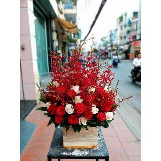 Set làm hoa lan Mokara