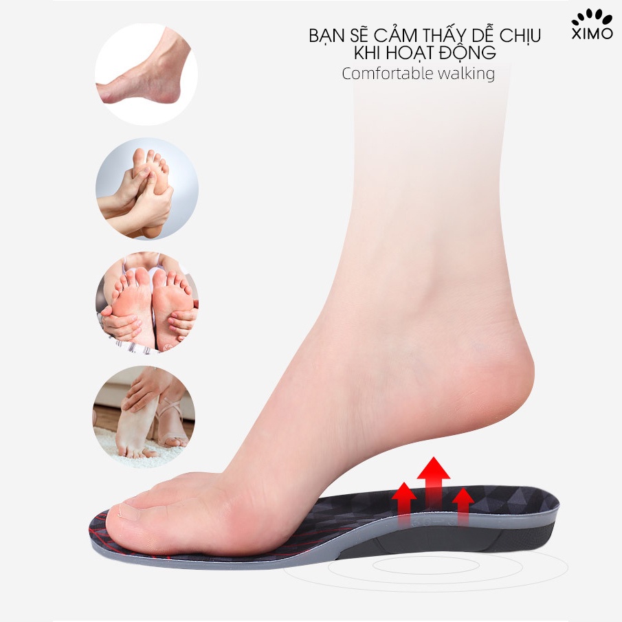 Lót giày thể thao Arch Support Sport XIMO chỉnh hình và tốt cho gan bàn chân XLGF01