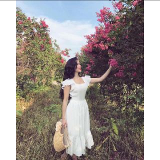 Đầm bèo tiểu thư