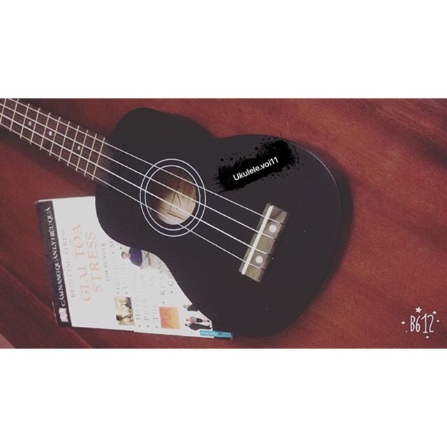 Ukulele LORTUI 21inch màu đen