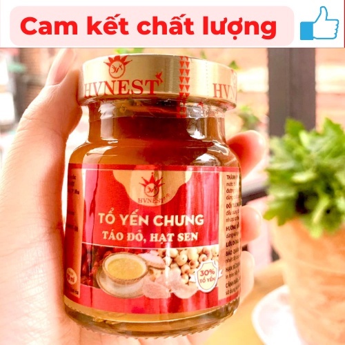 Yến chưng táo đỏ hạt sen Hoàng Việt, 30% yến chưng nguyên chất giúp dưỡng thai, hồi phục sức khỏe