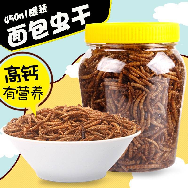 hamster  Côn trùng sấy khô bánh mì hạt chuột đồng