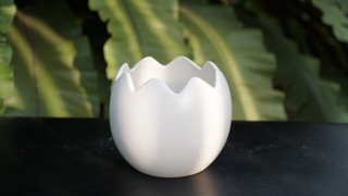 Chậu trứng 11x11cm - Vườn sen đá