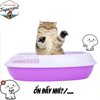 [TẶNG XẺNG] THAU CÁT VỆ SINH CHO CHÓ MÈO, KHAY VỆ SINH CHO THÚ CƯNG 40 x 30 x 20