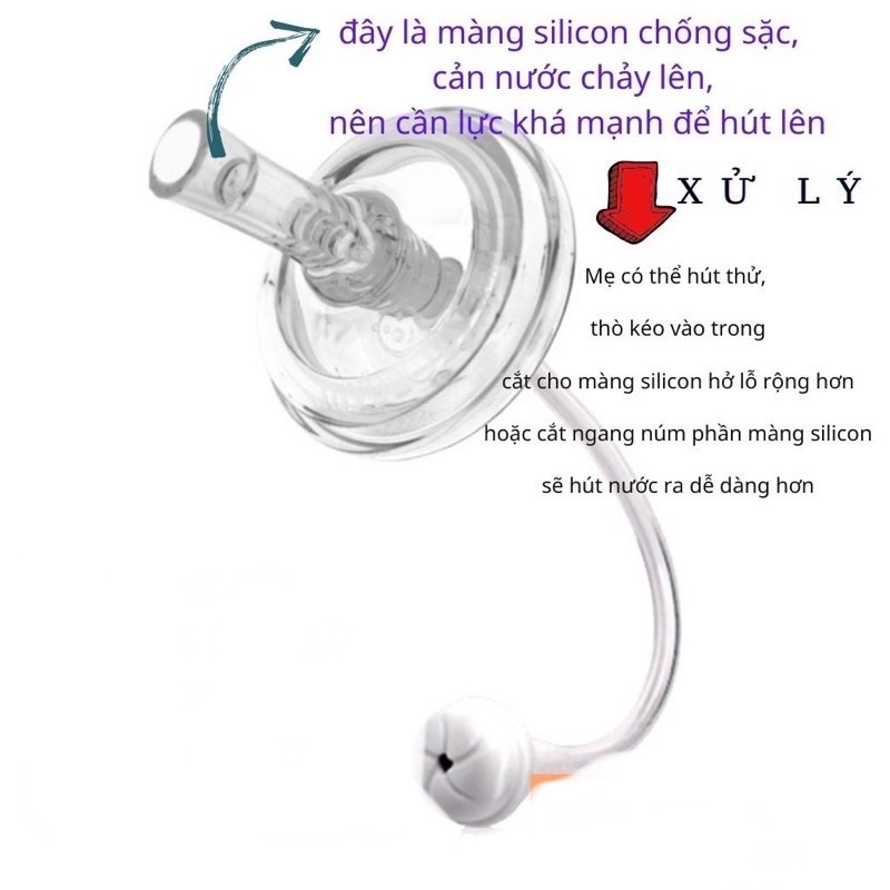 Bình sữa 2-1 Tritan 240ml Kichi / Bình tập uống nước Gấu có tay cầm chống sặc KICHILACHI KICHI (Công nghệ Nhật)