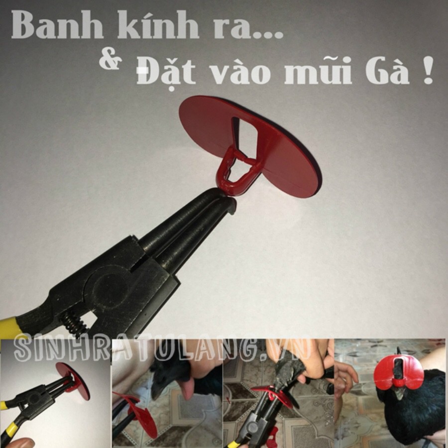 Kính Đeo Mắt Cho Gà Hàng Loại Tốt