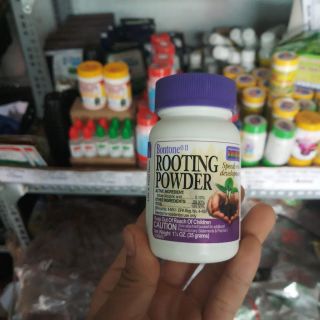 Kích rễ Rotting powder
