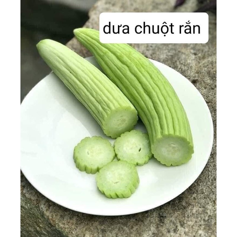 Dưa chuột rắn Thái Lan