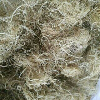 Rau câu (là một loại rong biển) dùng để làm thạch rau câu 1kg: 230 k