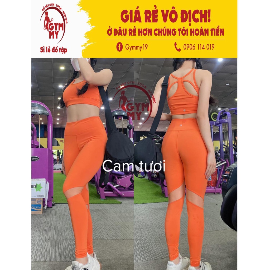 [Hàng xuất khẩu] Bộ Dài Phối Lưới DR Tập Gym - Yoga - Aerobic