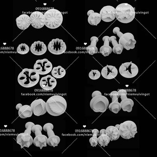 Set dụng cụ Fondant 10 bộ 33 món