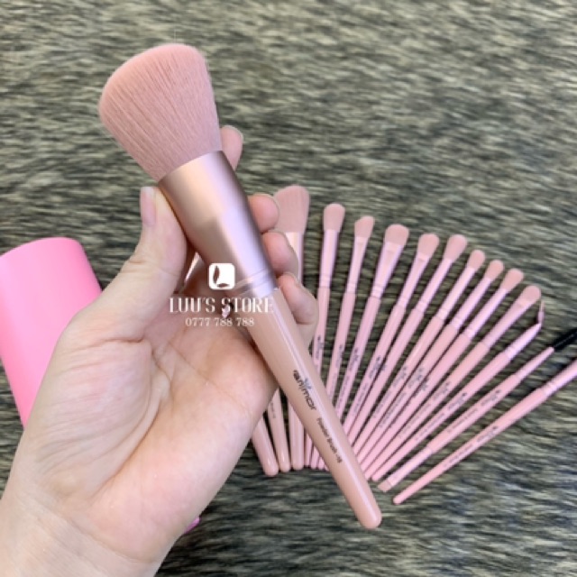 Bộ Cọ Cá Nhân RanMor Ống Hồng 16 cây