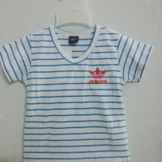 Combo 4 áo cotton 4c